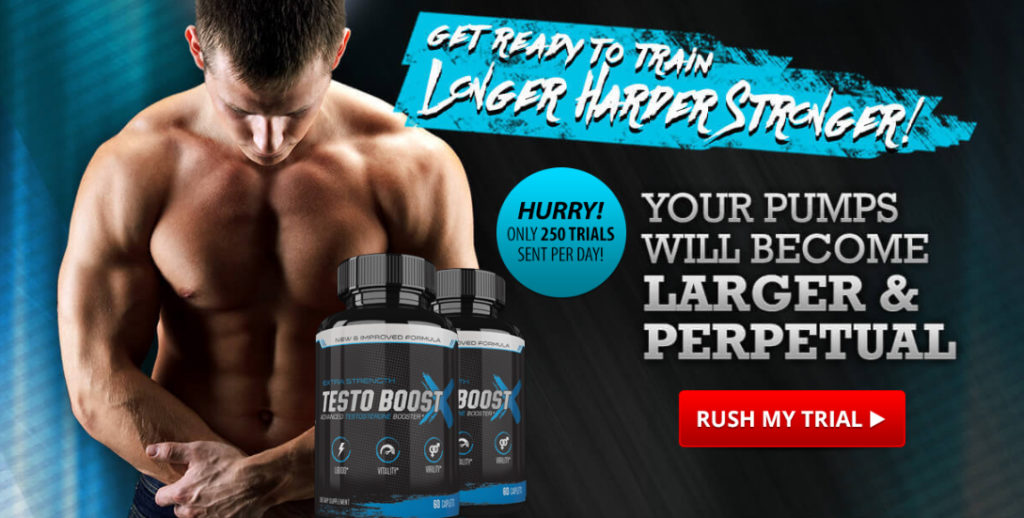 Testo Boost X all about